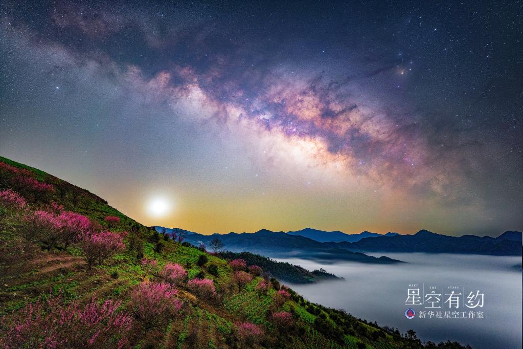 星空有约|想拍出“花语星空”大片吗？这份攻略送给你